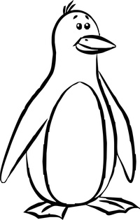 pinguin-5