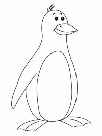 pinguin-11