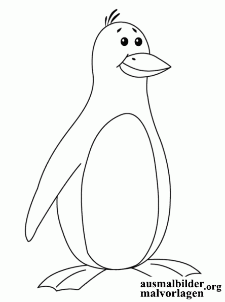 pinguin-11.gif