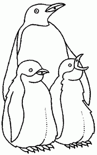 pinguin-18