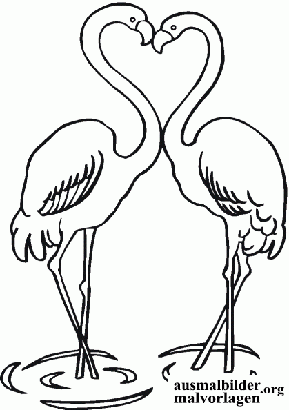 flamingo-5.gif